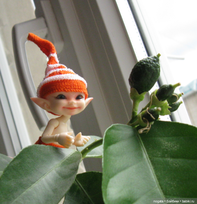 Как Изюмка был ботаником | Бэйбики Как Изюмка был ботаником — Куклы Fairyland (ФэйриЛэнд): BJD (БЖД) (фото 9)