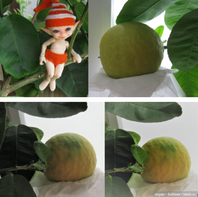 Как Изюмка был ботаником | Бэйбики Как Изюмка был ботаником — Куклы Fairyland (ФэйриЛэнд): BJD (БЖД)