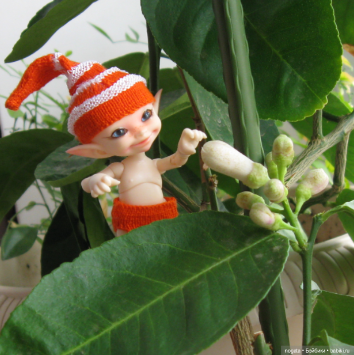 Как Изюмка был ботаником | Бэйбики Как Изюмка был ботаником — Куклы Fairyland (ФэйриЛэнд): BJD (БЖД) (фото 5)