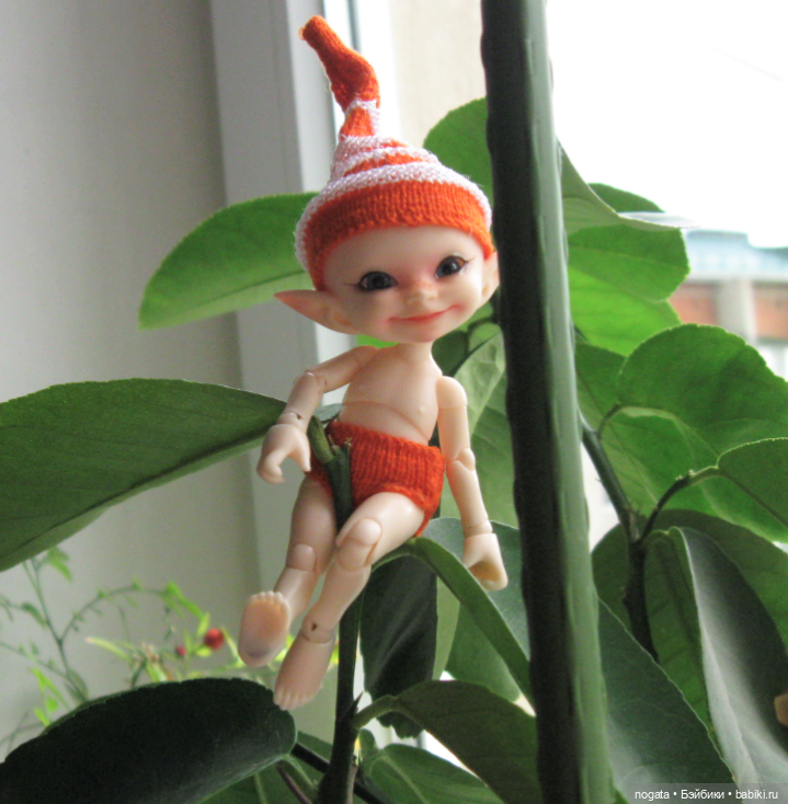 Как Изюмка был ботаником | Бэйбики Как Изюмка был ботаником — Куклы Fairyland (ФэйриЛэнд): BJD (БЖД) (фото 3)