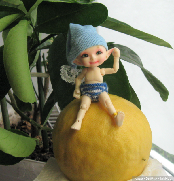 Как Изюмка был ботаником | Бэйбики Как Изюмка был ботаником — Куклы Fairyland (ФэйриЛэнд): BJD (БЖД)