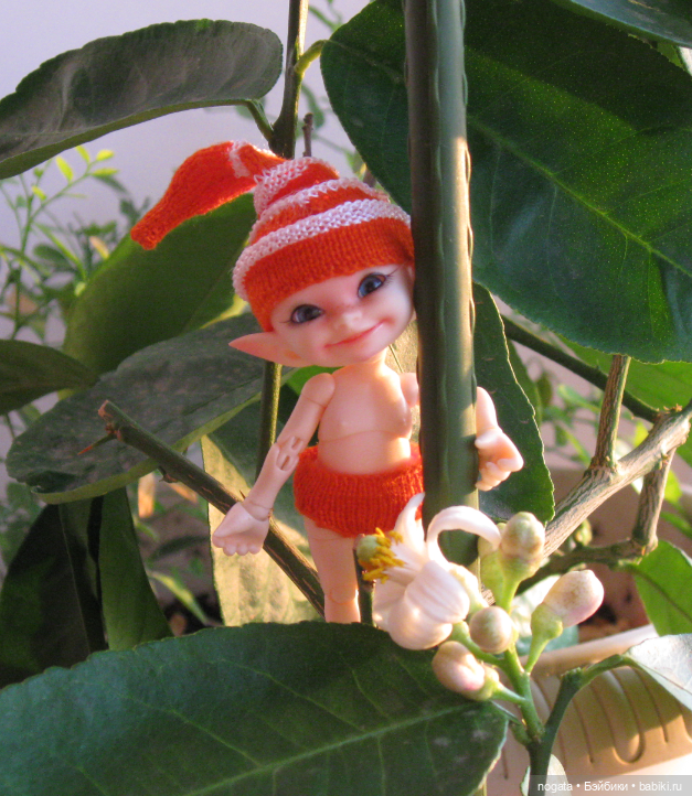 Как Изюмка был ботаником | Бэйбики Как Изюмка был ботаником — Куклы Fairyland (ФэйриЛэнд): BJD (БЖД) (фото 8)