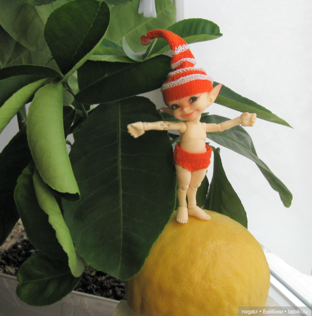 Как Изюмка был ботаником | Бэйбики Как Изюмка был ботаником — Куклы Fairyland (ФэйриЛэнд): BJD (БЖД)