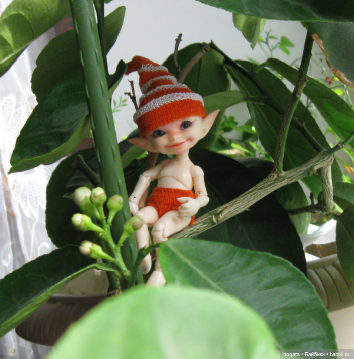 Как Изюмка был ботаником | Бэйбики Как Изюмка был ботаником — Куклы Fairyland (ФэйриЛэнд): BJD (БЖД) (фото 6)