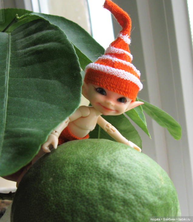 Как Изюмка был ботаником | Бэйбики Как Изюмка был ботаником — Куклы Fairyland (ФэйриЛэнд): BJD (БЖД) (фото 10)