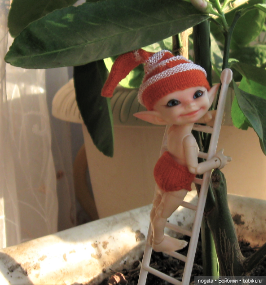 Как Изюмка был ботаником | Бэйбики Как Изюмка был ботаником — Куклы Fairyland (ФэйриЛэнд): BJD (БЖД) (фото 2)