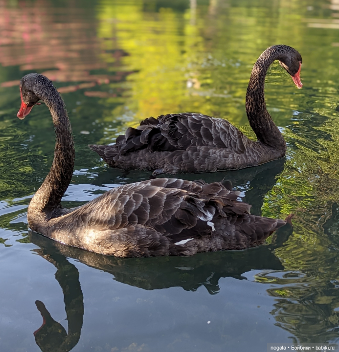 Дарвин в отпуске — Советские винтажные куклы (СССР): Ленигрушка