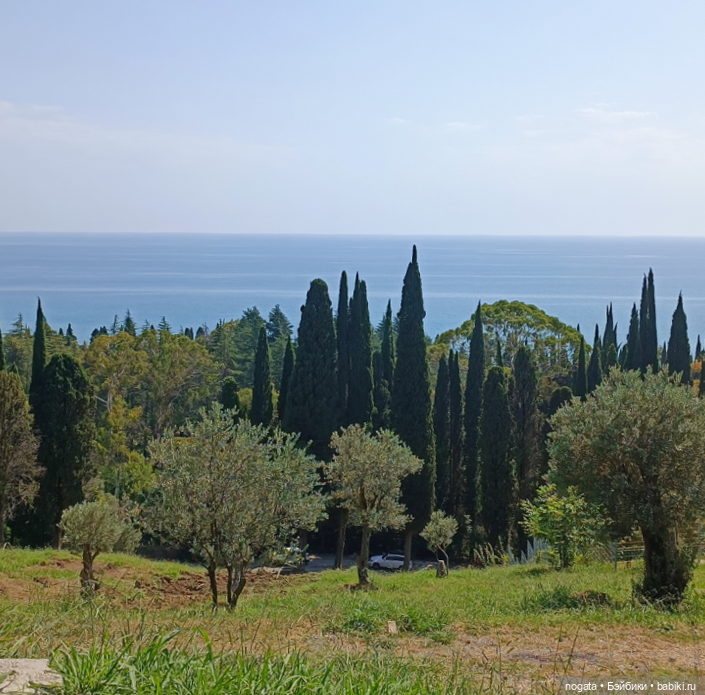 Дарвин в отпуске — Советские винтажные куклы (СССР): Ленигрушка (фото 8)