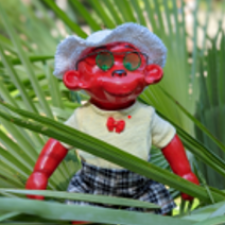 Дарвин в отпуске