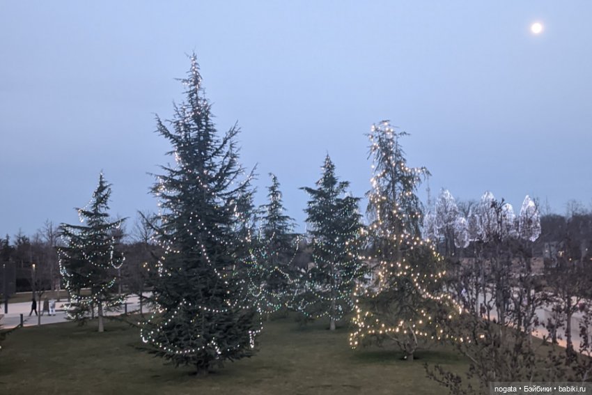 Огни рождественские — Кот Басик (фото 7)
