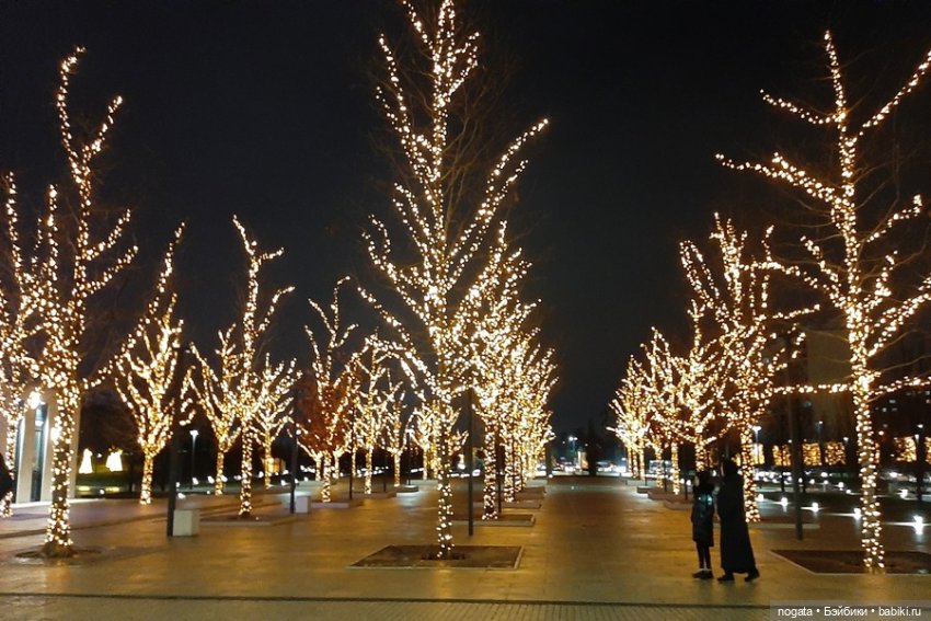 Огни рождественские — Кот Басик