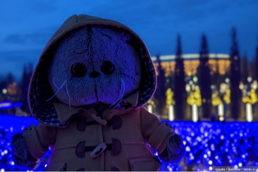 Огни рождественские — Кот Басик