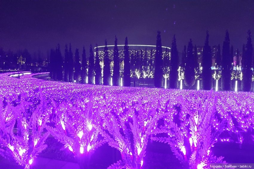 Огни рождественские — Кот Басик