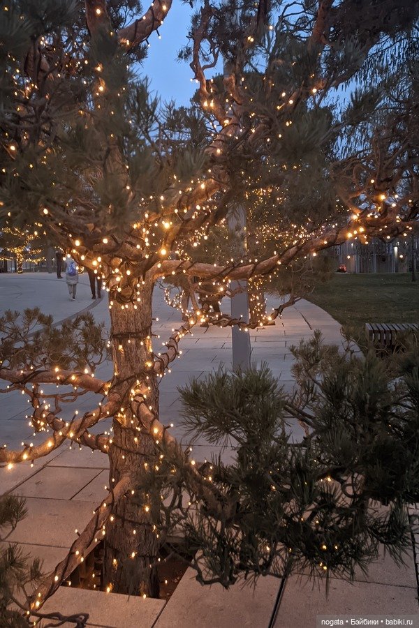 Огни рождественские — Кот Басик (фото 8)