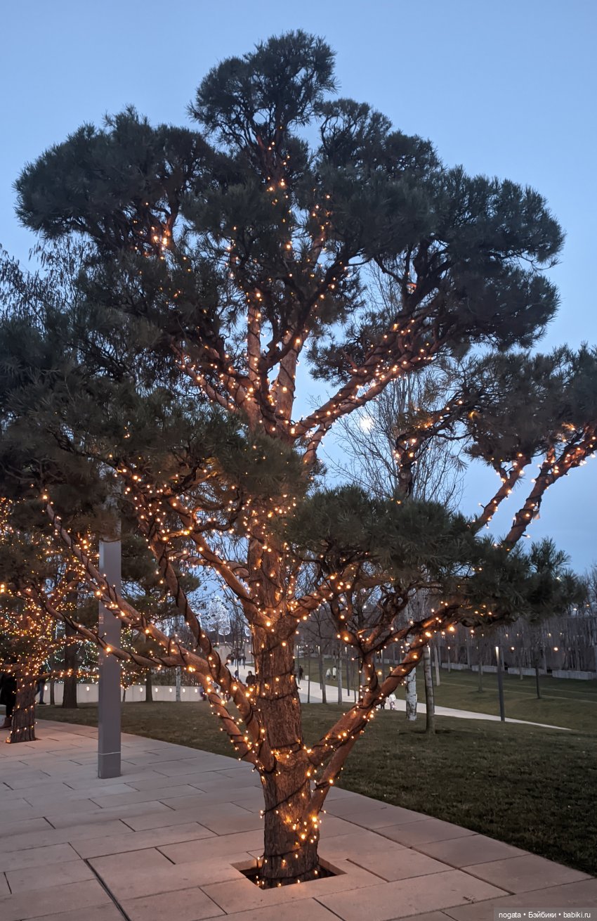 Огни рождественские — Кот Басик (фото 9)