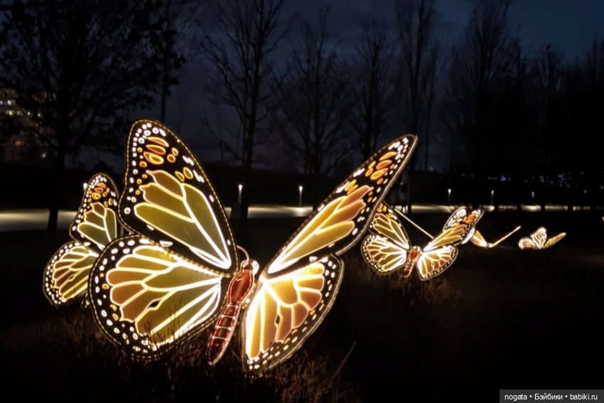 Огни рождественские — Кот Басик