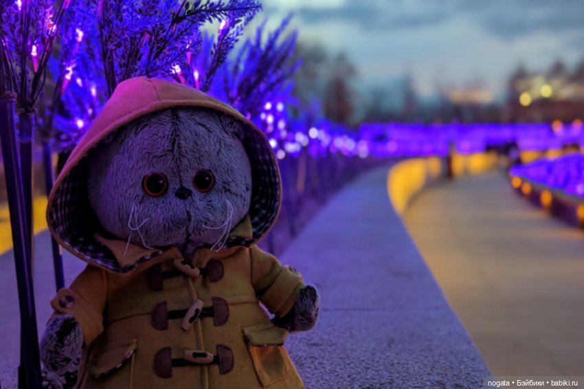 Огни рождественские — Кот Басик