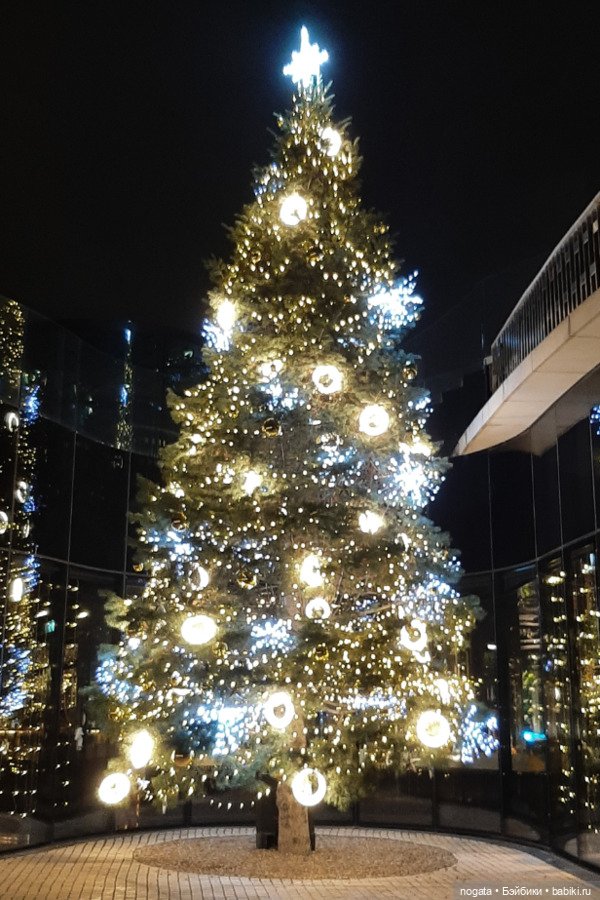 Огни рождественские — Кот Басик