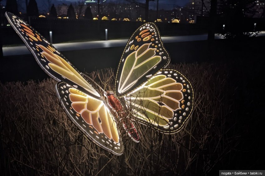 Огни рождественские — Кот Басик