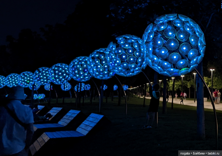 Огни рождественские — Кот Басик (фото 5)