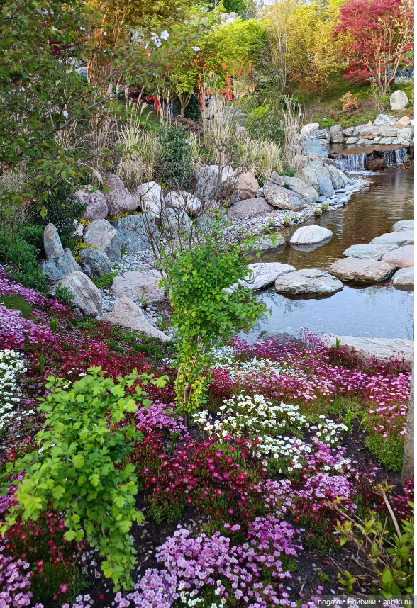 В парке Сергея Галицкого. Почти в Японии
