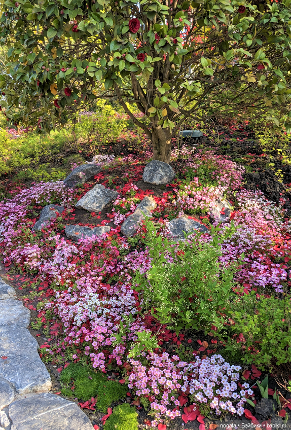 В парке Сергея Галицкого. Почти в Японии