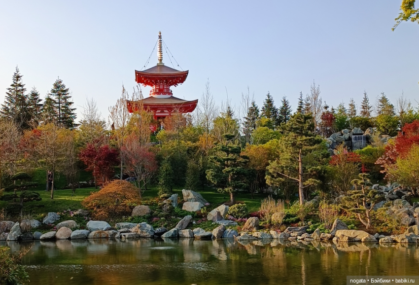 В парке Сергея Галицкого. Почти в Японии