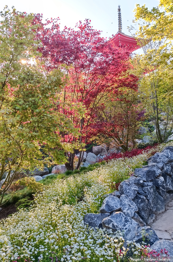 В парке Сергея Галицкого. Почти в Японии