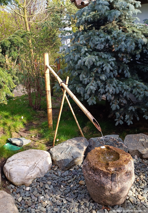 В парке Сергея Галицкого. Почти в Японии (фото 7)