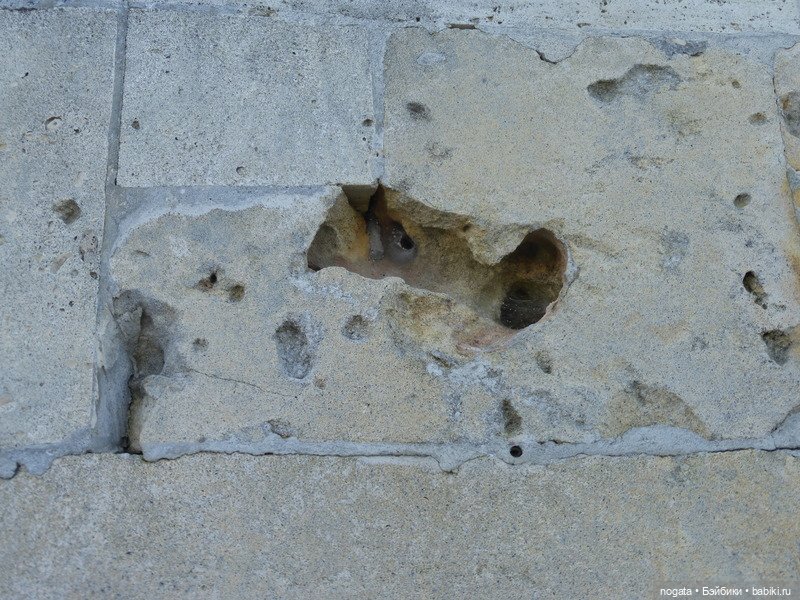 Маша и Пип в Крыму. Севастополь (фото 8)