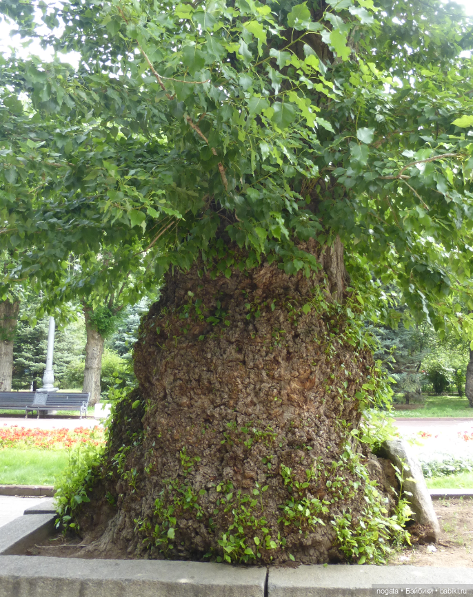 Путешествуем с Машей. Город-герой Волгоград