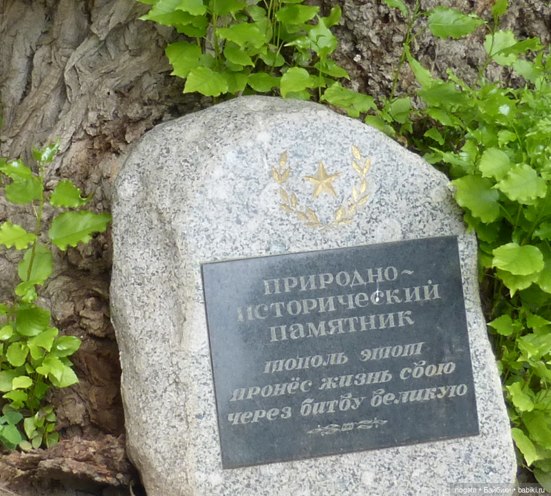 Путешествуем с Машей. Город-герой Волгоград