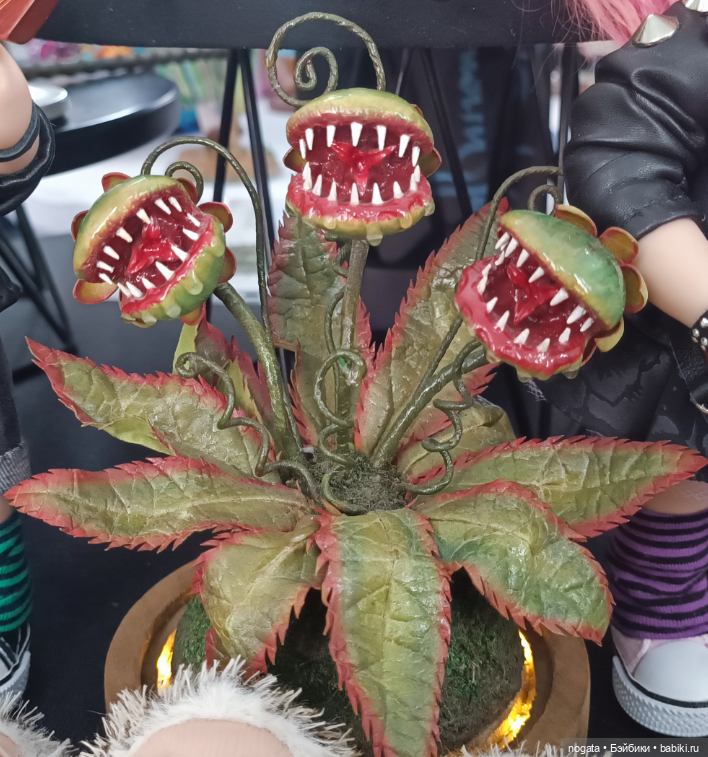 Первый бал кукол в южной столице | Бэйбики Первый бал кукол в южной столице