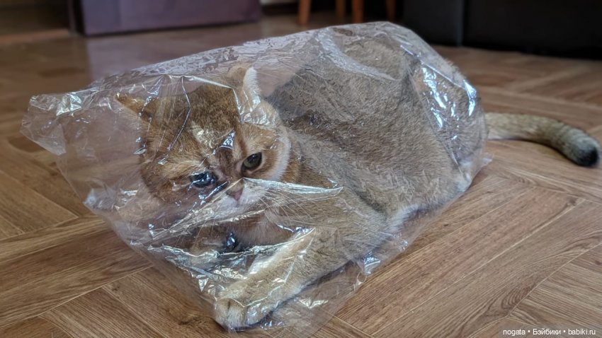 Возвращение на елку — Реставрация и преображение кукол: ремонт (фото 10)