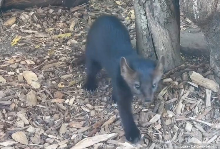 Жара. А море холодное — Туризм и путешествия: фотоотчеты из поездок