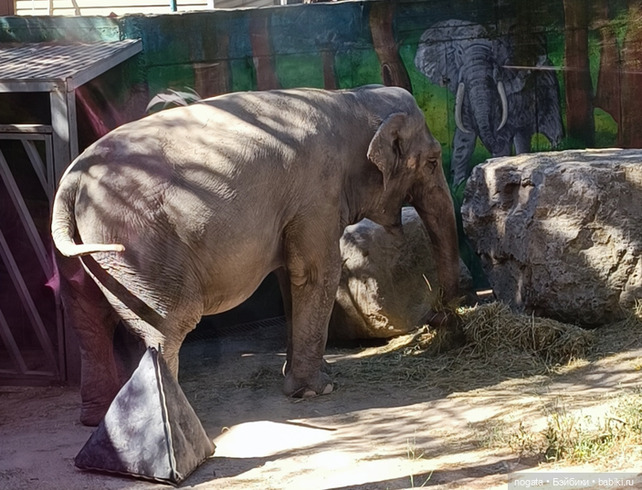 Жара. А море холодное — Туризм и путешествия: фотоотчеты из поездок