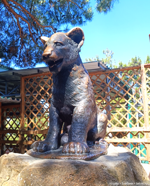 Жара. А море холодное — Туризм и путешествия: фотоотчеты из поездок