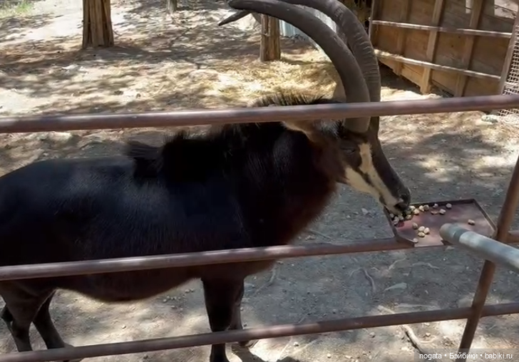 Жара. А море холодное — Туризм и путешествия: фотоотчеты из поездок (фото 5)