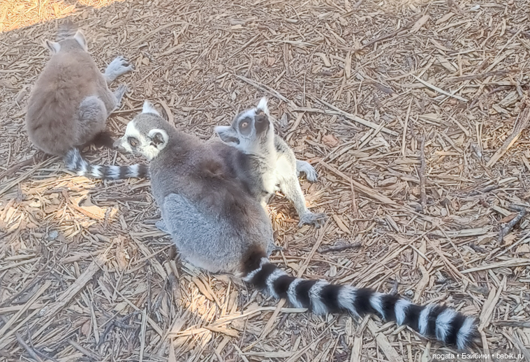 Жара. А море холодное — Туризм и путешествия: фотоотчеты из поездок