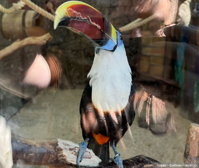 Жара. А море холодное — Туризм и путешествия: фотоотчеты из поездок