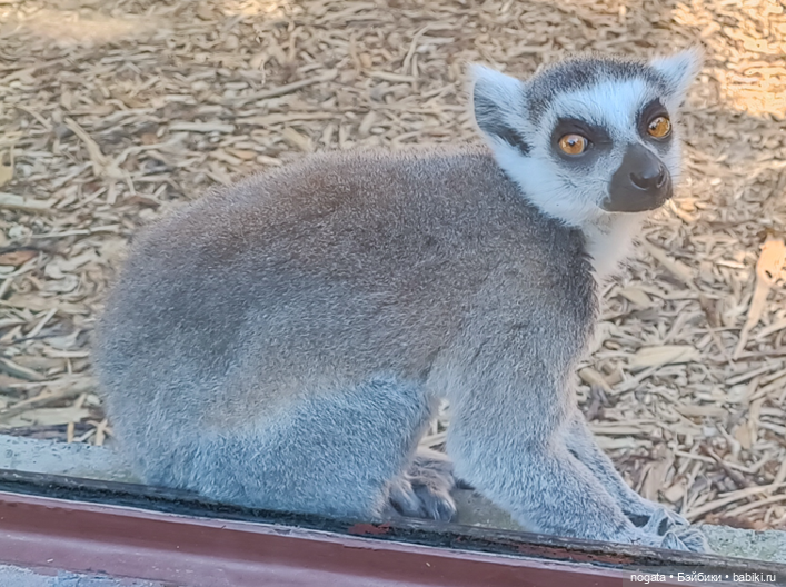 Жара. А море холодное — Туризм и путешествия: фотоотчеты из поездок