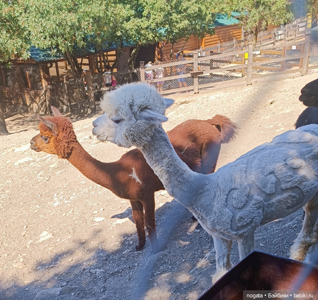 Жара. А море холодное — Туризм и путешествия: фотоотчеты из поездок (фото 4)