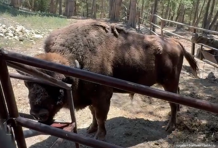 Жара. А море холодное — Туризм и путешествия: фотоотчеты из поездок (фото 6)