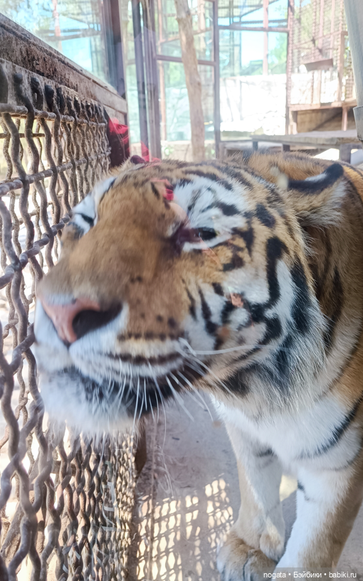 Жара. А море холодное — Туризм и путешествия: фотоотчеты из поездок (фото 8)