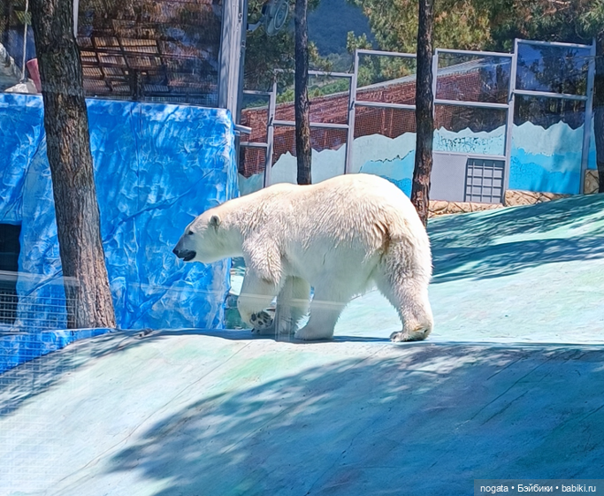 Жара. А море холодное — Туризм и путешествия: фотоотчеты из поездок (фото 9)