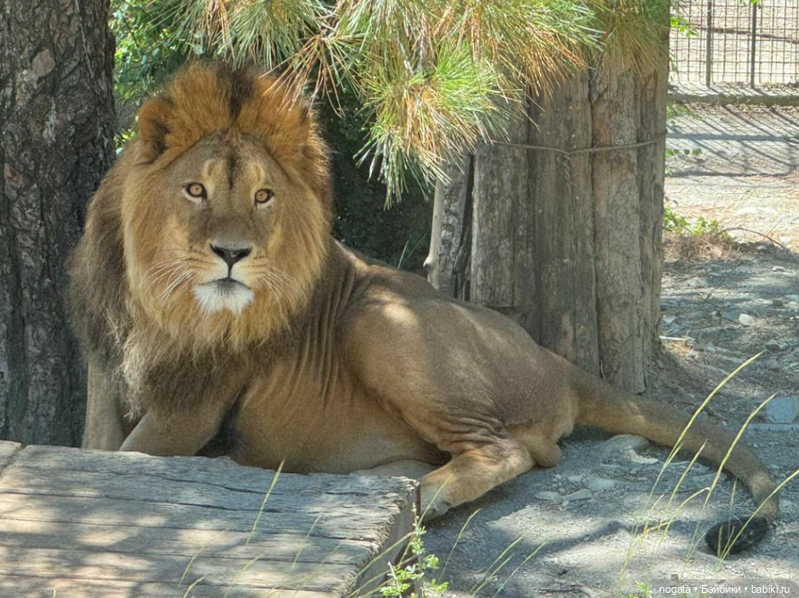 Жара. А море холодное — Туризм и путешествия: фотоотчеты из поездок