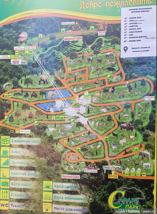 Жара. А море холодное — Туризм и путешествия: фотоотчеты из поездок (фото 3)