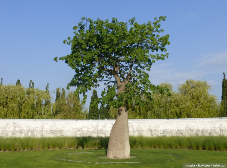 Купаться в городских фонтанах строго запрещено