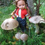 Прогулки Эмили по осеннему лесу.