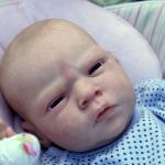 Новый чудесный молд для куклы реборн Hanna By Reva Schick